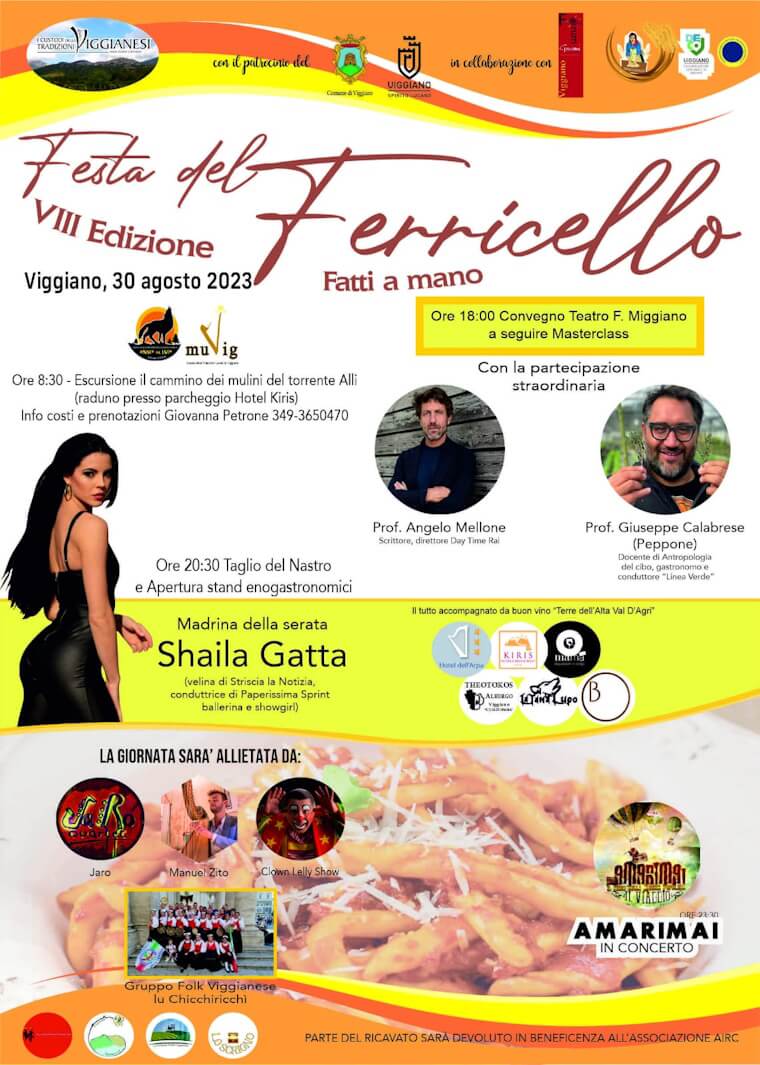 Festa del Ferricello Viggianese - VIIIª Edizione locandina festa del ferricello viggianese 2023