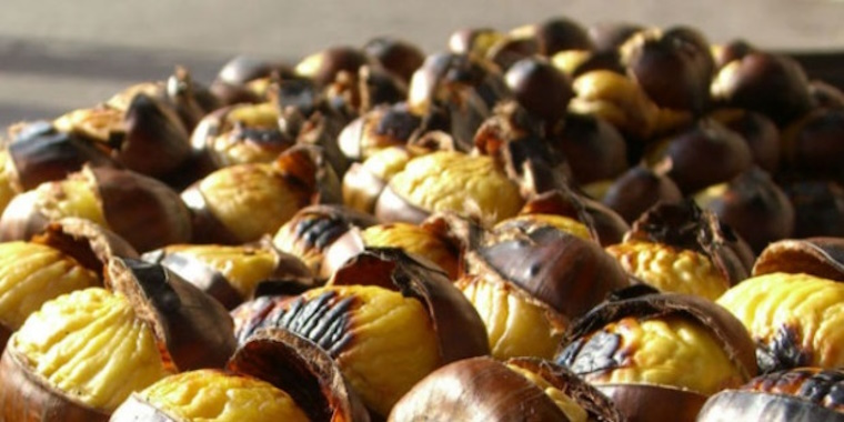 sagre delle castagne in val dagri