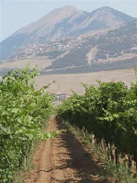 terroir2