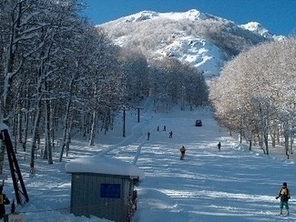 neve viggiano