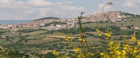 viggiano