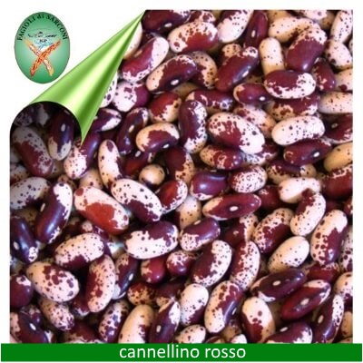 cannellino rosso cannellino rosso