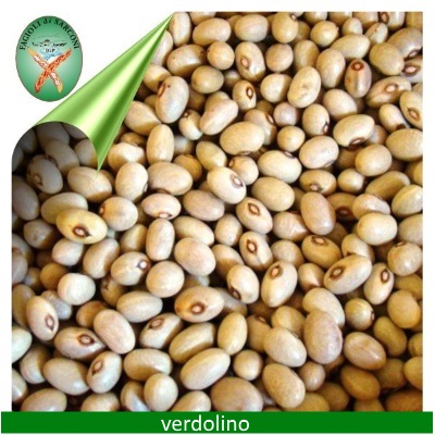 verdolino verdolino