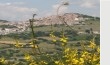 Viggiano, il paese dai mille volti